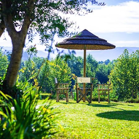 Quinta Da Chouza Agroturismo E Enoturismo Celorico De Basto Dış mekan fotoğraf