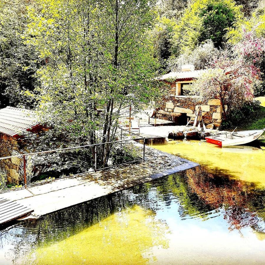 Quinta Da Chouza Agroturismo E Enoturismo Celorico De Basto Dış mekan fotoğraf