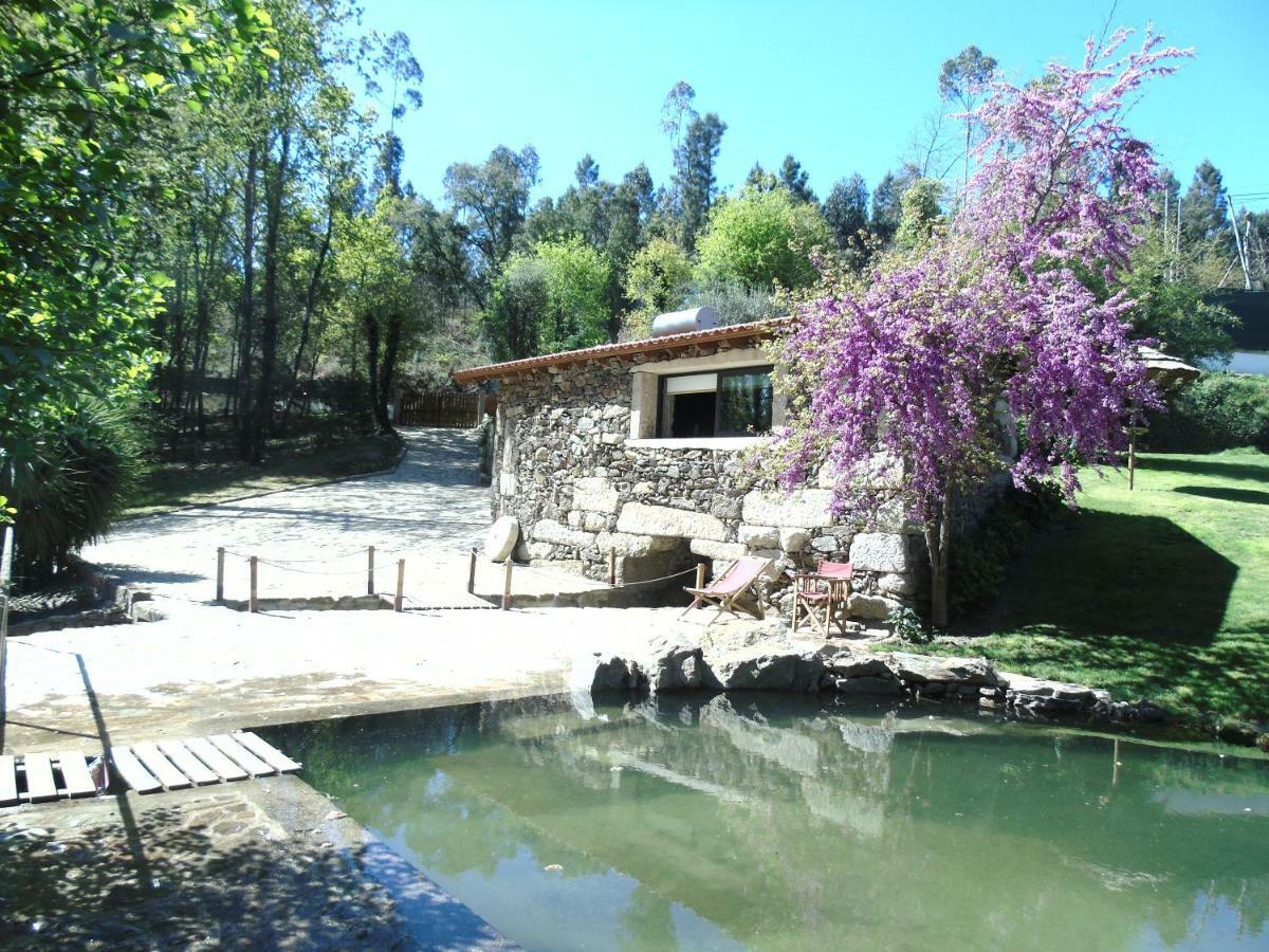 Quinta Da Chouza Agroturismo E Enoturismo Celorico De Basto Dış mekan fotoğraf