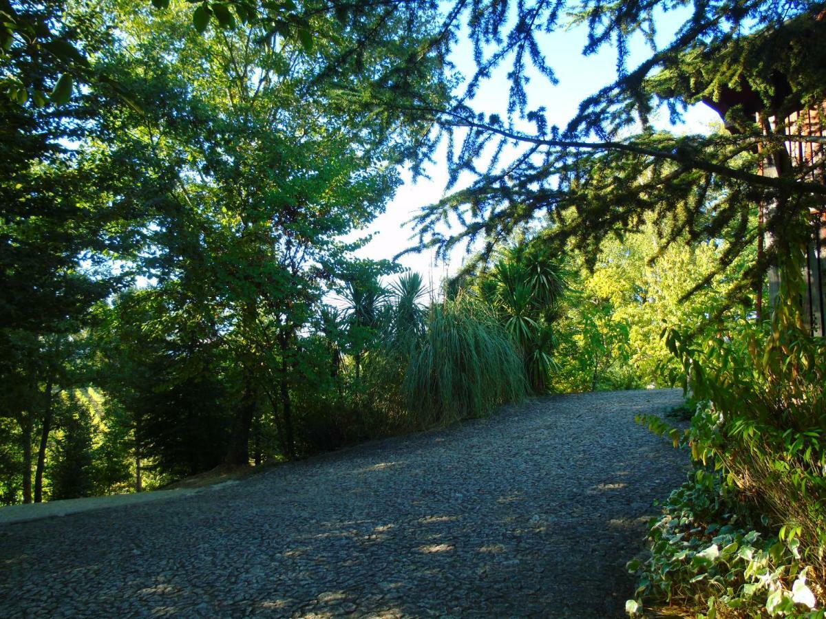 Quinta Da Chouza Agroturismo E Enoturismo Celorico De Basto Dış mekan fotoğraf