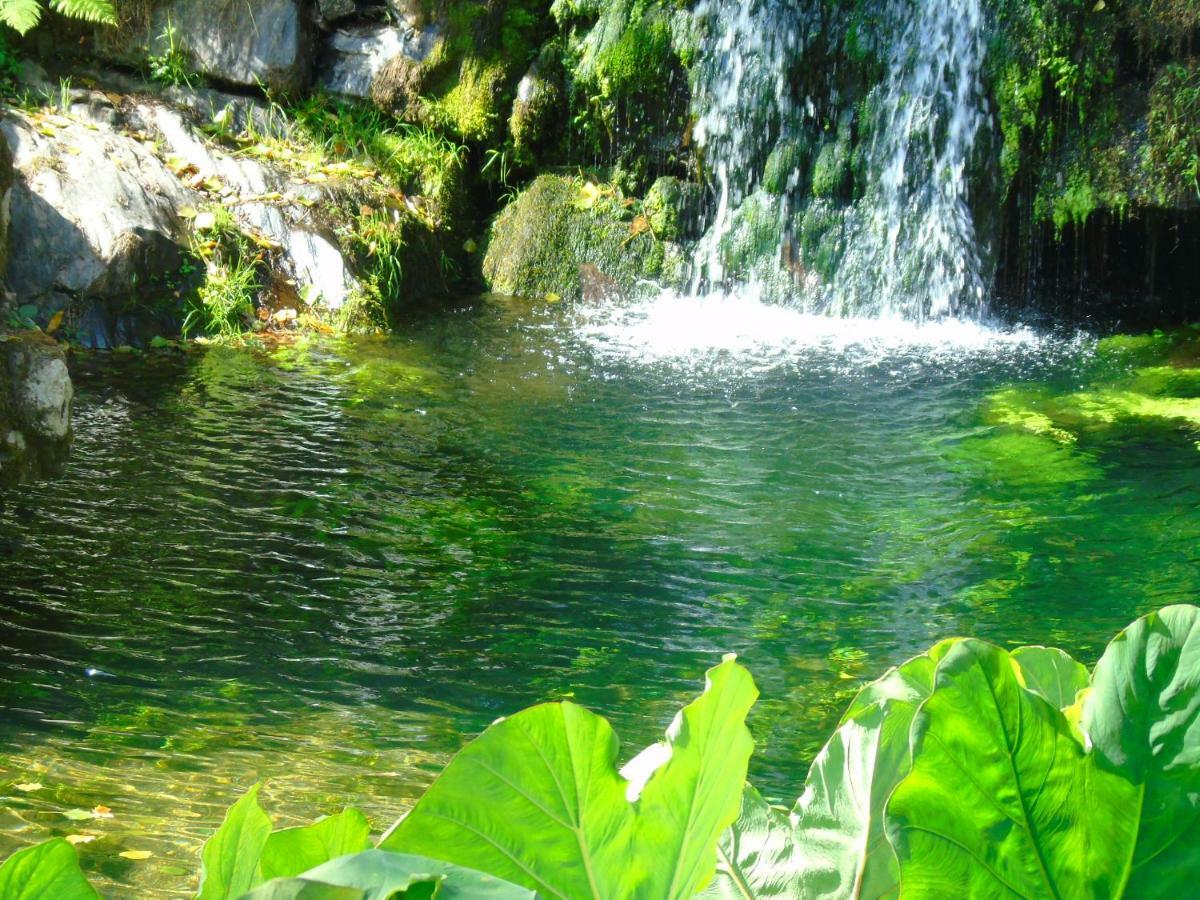 Quinta Da Chouza Agroturismo E Enoturismo Celorico De Basto Dış mekan fotoğraf