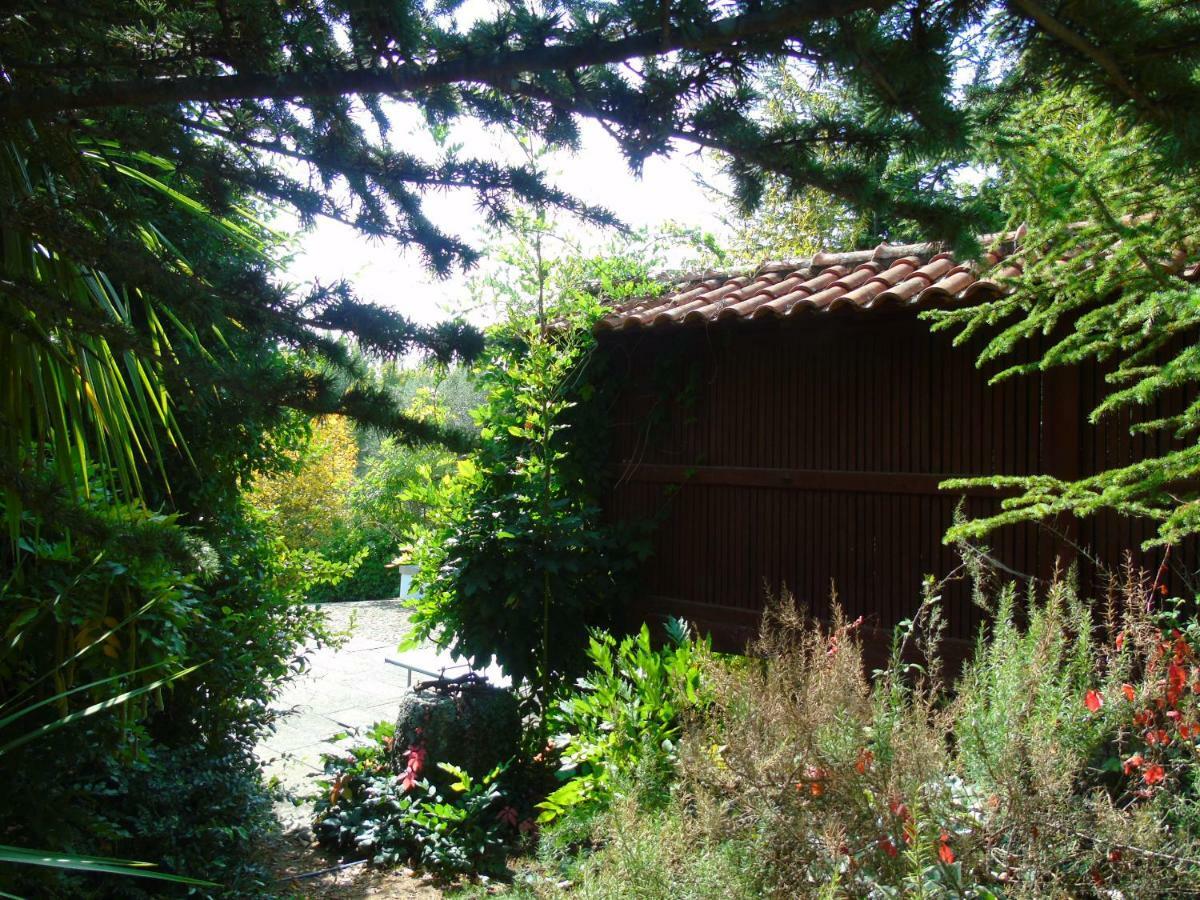 Quinta Da Chouza Agroturismo E Enoturismo Celorico De Basto Dış mekan fotoğraf