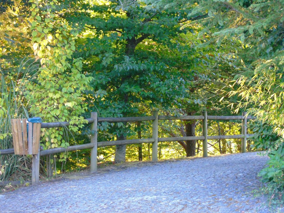 Quinta Da Chouza Agroturismo E Enoturismo Celorico De Basto Dış mekan fotoğraf