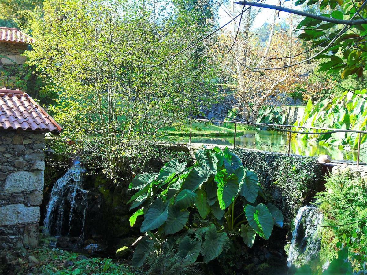 Quinta Da Chouza Agroturismo E Enoturismo Celorico De Basto Dış mekan fotoğraf