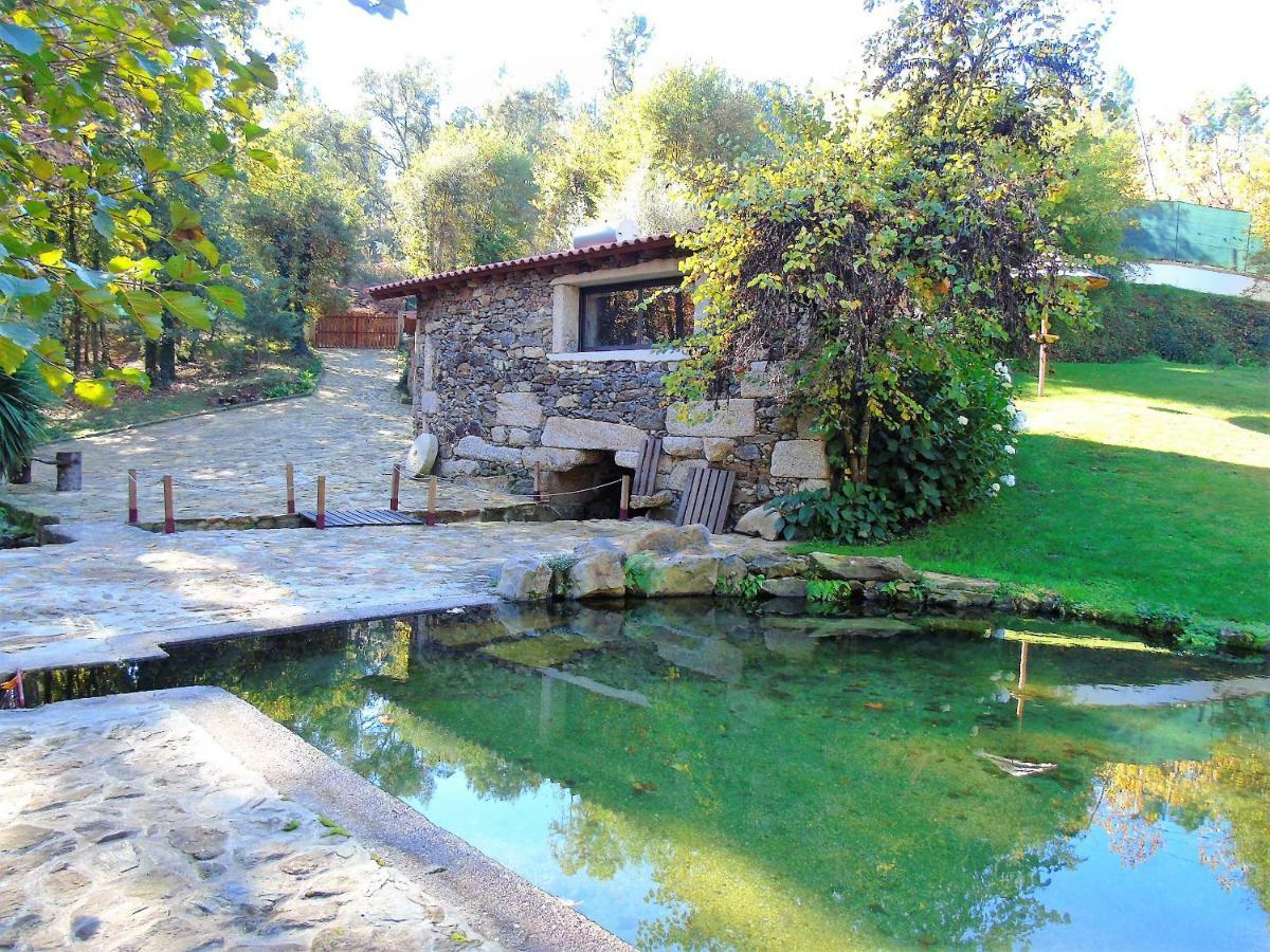 Quinta Da Chouza Agroturismo E Enoturismo Celorico De Basto Dış mekan fotoğraf