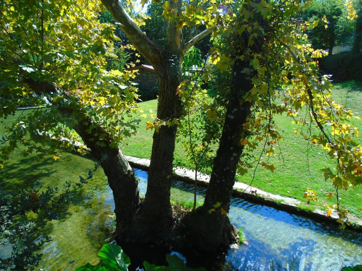 Quinta Da Chouza Agroturismo E Enoturismo Celorico De Basto Dış mekan fotoğraf